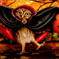 Vampire Owl Trick Or Treat