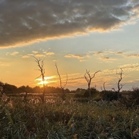 sunset-landscape