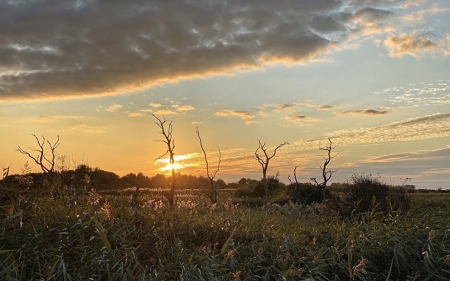 sunset-landscape - landscape, nature, photo, sunset