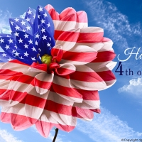 happy fourth of july