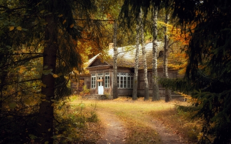 Log Cabin on the Forest - autumn, cabin, forest, grass, house, leaves, nature, road, trees