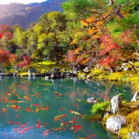 Zen garden
