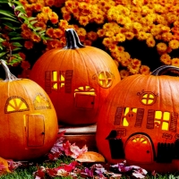 Pumpkin Houses