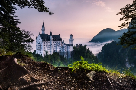 Neuschwanstein Castle in the Morning - castle, houses, morning, mountains, nature, sky, trees