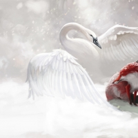 Love and protection