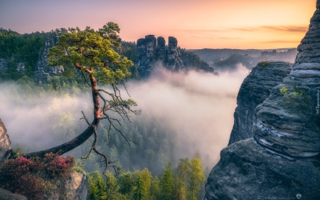 Cliffs in Switzerland - mist, Switzerland, National Park, cliffs, rocks, tree