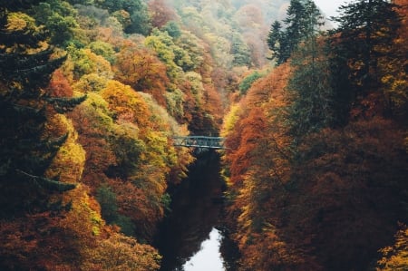 Bridge Over the Garry River, - river, trees, nature, autumn, lake, forest, bridge