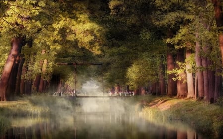 Park Through the Water Channel in the Fog - trees, nature, fog, channel, park, bridge