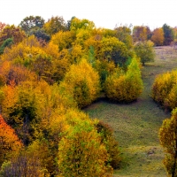 Cromatica de toamna