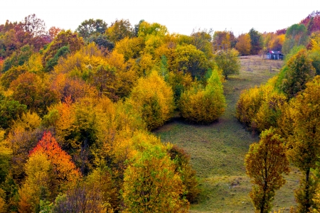 Cromatica de toamna - toamna, liniste, aer, cer