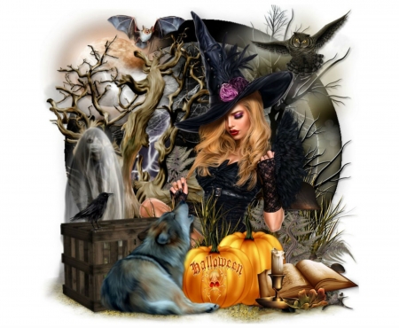 WITCH - black, female, pumpkins, witch