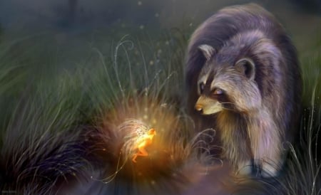 Raccoon and Fairy - beautiful, girl, raccoon, fantasy, digital, woman, fairy, art, wallpaper