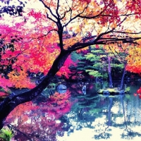 Fall in Japan