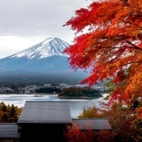 Japan Fall Foliage Mr Fuji