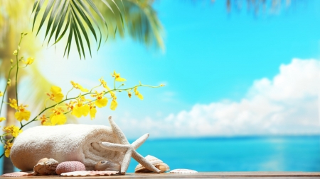 Spa in the beach - beach, palm trees, shell, towel
