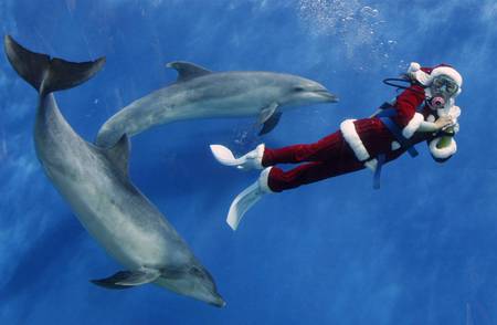 Submerged Santa - photography, places, people