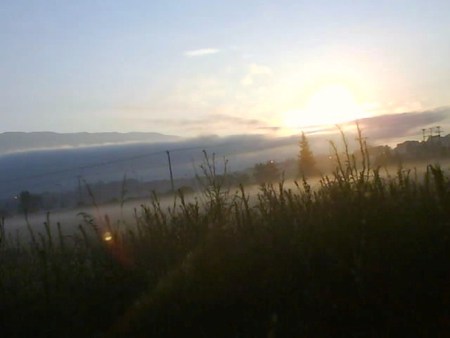 sun risen - morning, misty dawn, misty field