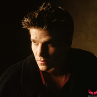 David Boreanaz 