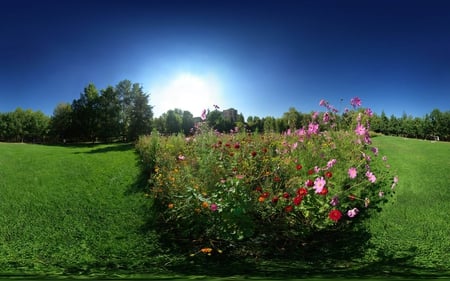 FLOWER  BOUQUET ON  GRASS FIELD - sunshine, trees, blue sky, flowers, field, grass