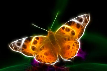 Butterfly - butterfly, abstract