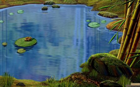 Pond - frog, pond, abstract