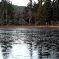 Icy Lake Riley