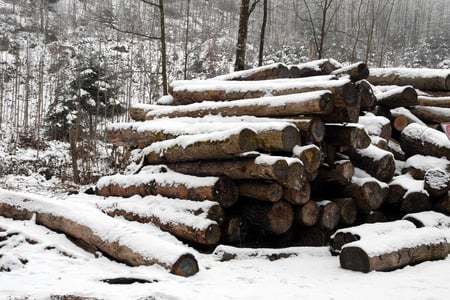 Logs Covered With Snow - nature, trees, logs, snow