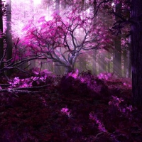 PURPLE FOREST