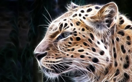 Leopard - art2, leopard