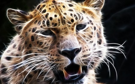 Leopard - leopard, art3