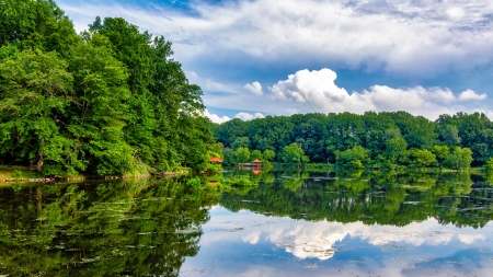 Reflecting Lake - clouds, trees, nature, lake, columbia, forest, reflection