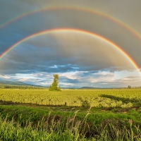 Double rainbow