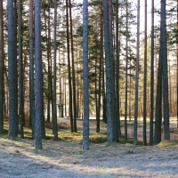 First Frost in Latvia