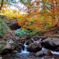 Bridges over the river