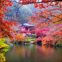 Autumn temple