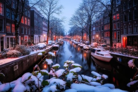 Amsterdam - trees, cars, winter, bicycles, boat, snow, canal, netherlands