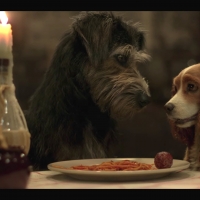 Lady and the Tramp (2019)