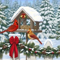 Cardinals at Christmas