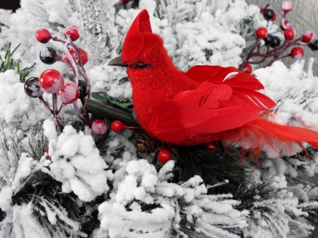 Winter Cardinal - Abstract, Cardinal, Winter, Photography, Snow, Display