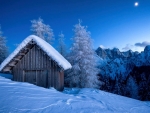 Winter Cabin