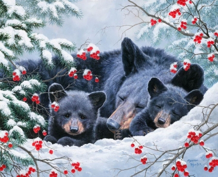 :) - abraham hunter, art, bear, berry, cub, cute, iarna, painting, pictura, red, sleep, urs, winter