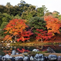 Autumn in Japan