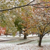 1st Snowfall of Autumn 2019