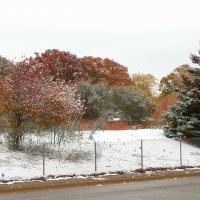 Autumn/ Winter Wonderland