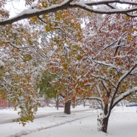 2nd Snowfall of Autumn 2019: Double Deja Vu