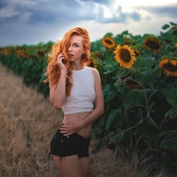 Cowgirls Sunflowers