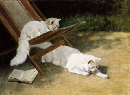 Persian Cats - summer, arthur heyer, cat, pictura, persian, white, painting, garden, pisici, art, vara