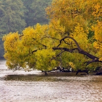 On the banks of the river