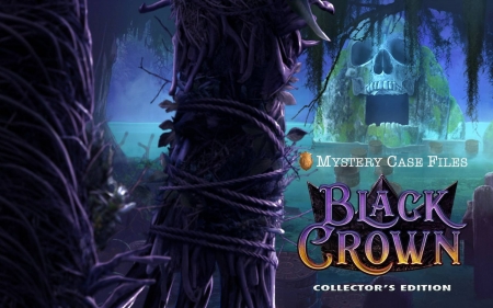 Mystery Case Files - Black Crown06 - fun, puzzle, hidden object, video games, cool