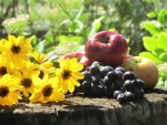 Still life with flowers